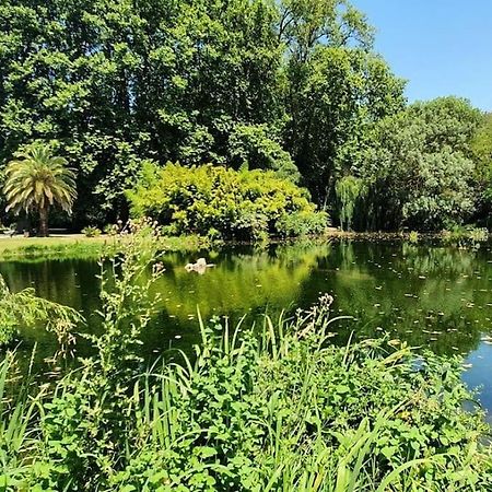 Gite de 420 metres carres dans château l'ange au violon jusqu'à 13 couchages Conques-sur-Orbiel Exterior foto