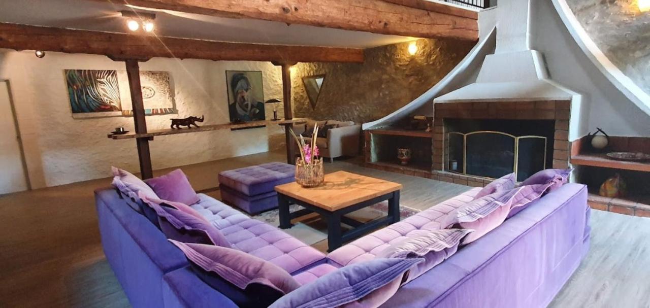 Gite de 420 metres carres dans château l'ange au violon jusqu'à 13 couchages Conques-sur-Orbiel Exterior foto