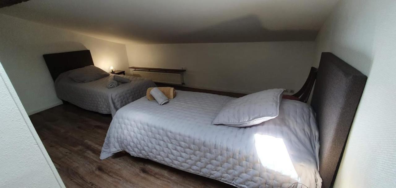 Gite de 420 metres carres dans château l'ange au violon jusqu'à 13 couchages Conques-sur-Orbiel Exterior foto