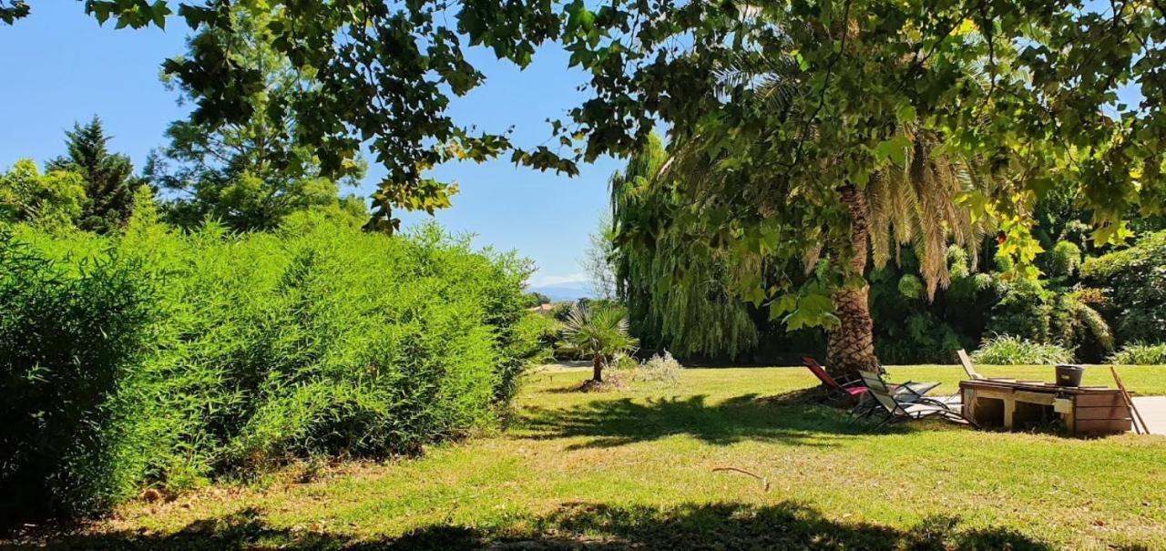 Gite de 420 metres carres dans château l'ange au violon jusqu'à 13 couchages Conques-sur-Orbiel Exterior foto
